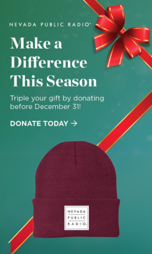 Untitled%20design%20-%202024-12-06T104711_655.png